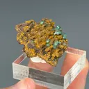 Cuprian Adamite - image 2