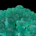 Cuprian Adamite - image 2