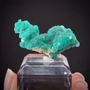 Cuprian Adamite - image 2