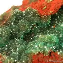 Cuprian Adamite - image 2