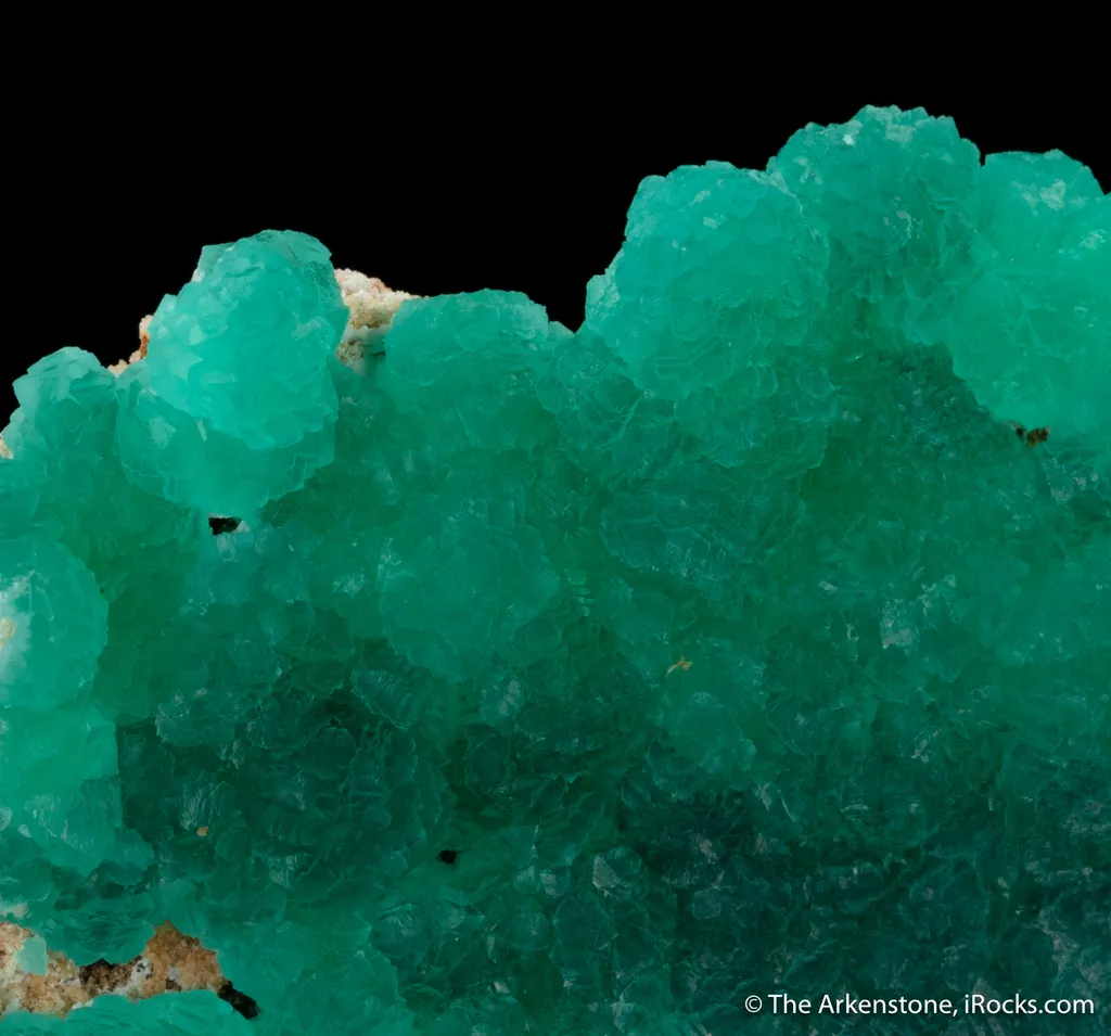 Cuprian Adamite - image 2