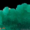 Cuprian Adamite - image 2