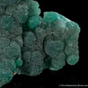 Cuprian Adamite - image 5