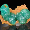 Cuprian Adamite - image 1