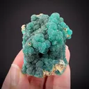 Cuprian Adamite - image 2