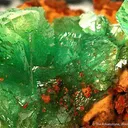 Cuprian Adamite - image 3