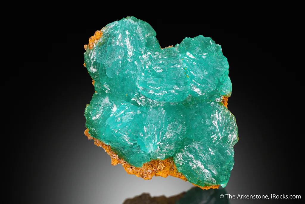Cuprian Adamite - image 4