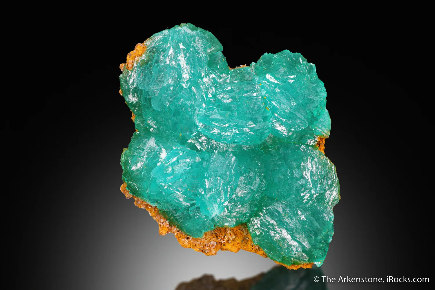 Cuprian Adamite - image 4