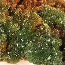 Cuprian Adamite - image 3