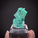 Cuprian Adamite - image 2