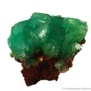 Cuprian Adamite - image 1
