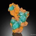 Cuprian Adamite - image 4