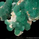 Cuprian Adamite - image 4