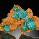 Cuprian Adamite - image 1