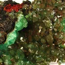 Cuprian Adamite - image 3