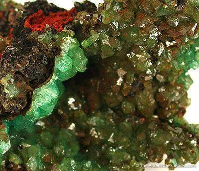 Cuprian Adamite - image 3