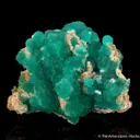 Cuprian Adamite - image 2