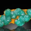 Cuprian Adamite - image 1