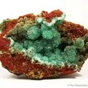 Cuprian Adamite - image 1