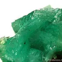 Cuprian Adamite - image 3
