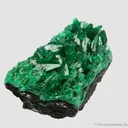 Cuprian Adamite - image 9