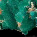 Cuprian Adamite - image 3