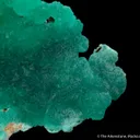 Cuprian Adamite - image 3