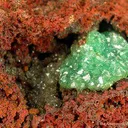Cuprian Adamite - image 3