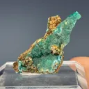 Cuprian Adamite - image 1
