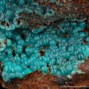 Cuprian Adamite - image 1