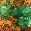 Cuprian Adamite - image 2
