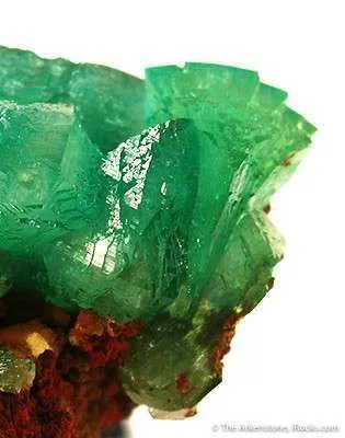 Cuprian Adamite - image 2
