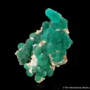 Cuprian Adamite - image 2
