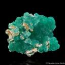 Cuprian Adamite - image 2