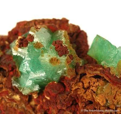 Cuprian Adamite - image 2