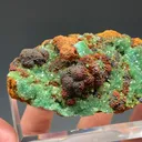 Cuprian Adamite - image 4