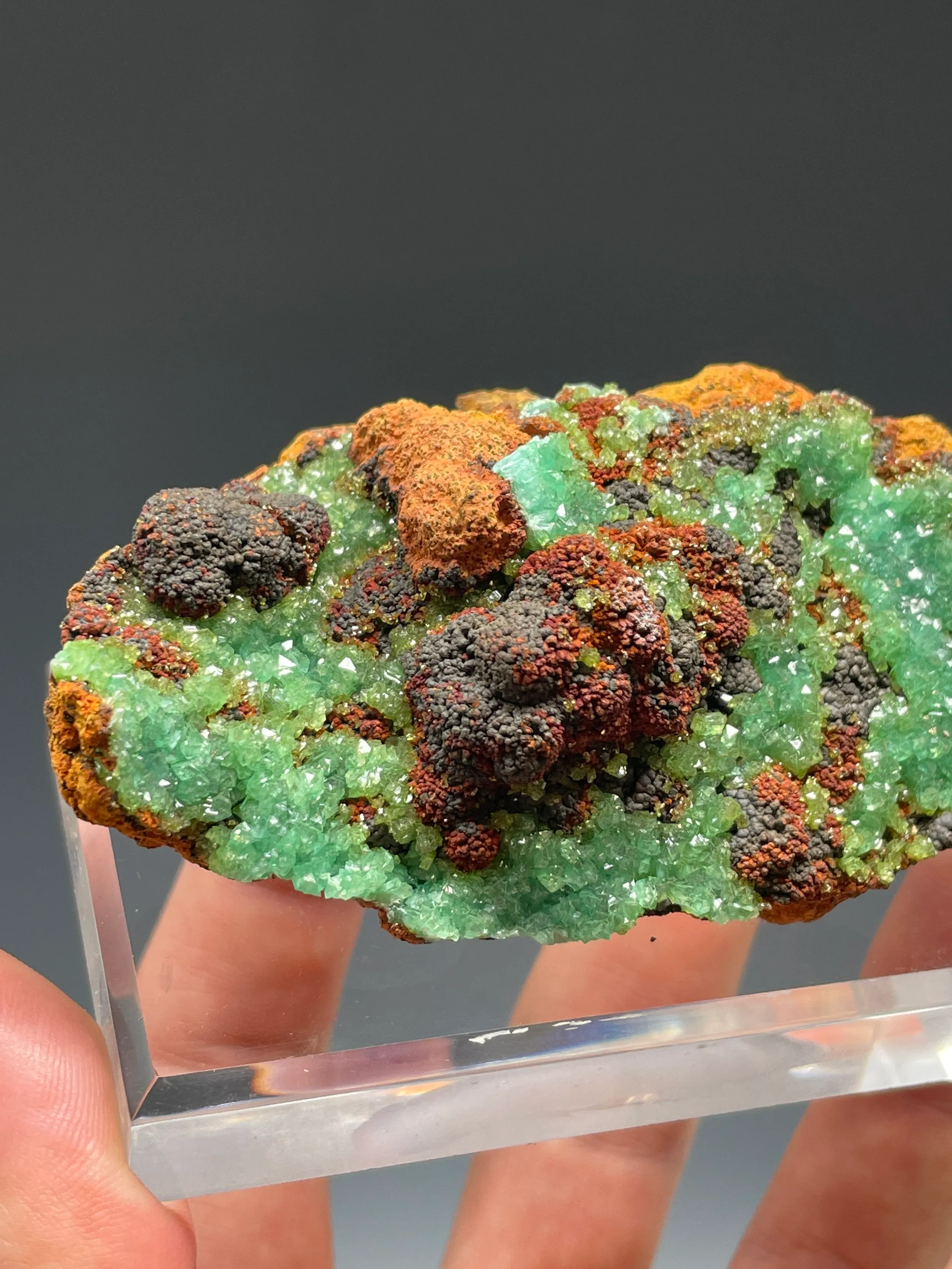 Cuprian Adamite - image 4