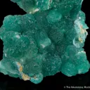 Cuprian Adamite - image 5