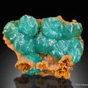 Cuprian Adamite - image 1
