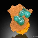 Cuprian Adamite - image 2