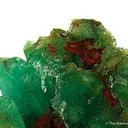 Cuprian Adamite - image 2