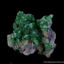 Cuprian Adamite and Wulfenite - image 3