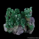 Cuprian Adamite and Wulfenite - image 1