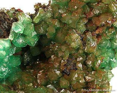Cuprian Adamite - image 2