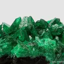 Cuprian Adamite - image 11