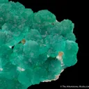Cuprian Adamite - image 3