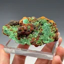 Cuprian Adamite - image 2