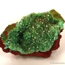 Cuprian Adamite - image 1