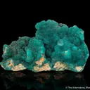 Cuprian Adamite - image 1