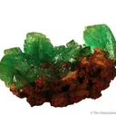 Cuprian Adamite - image 1